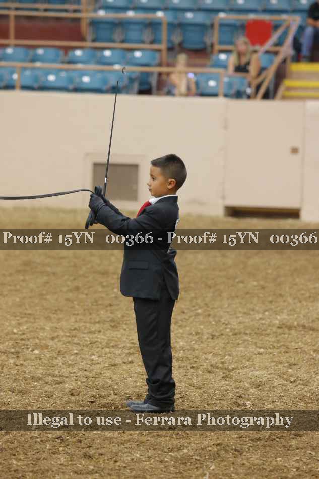 Proof 15YN_00366