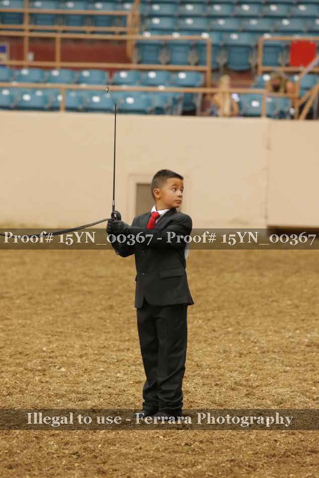 Proof 15YN_00367