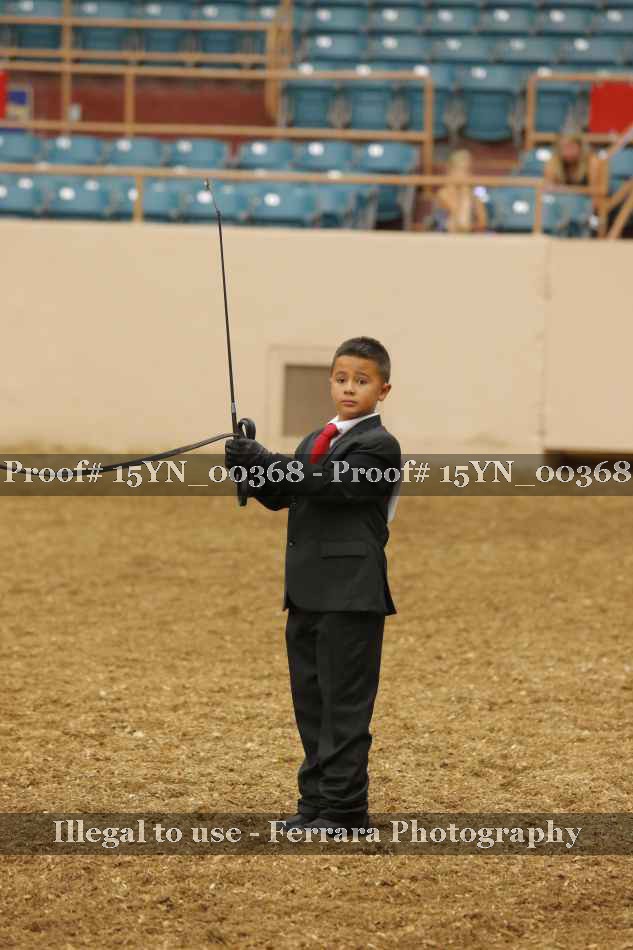 Proof 15YN_00368