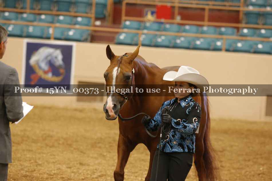 Proof 15YN_00373