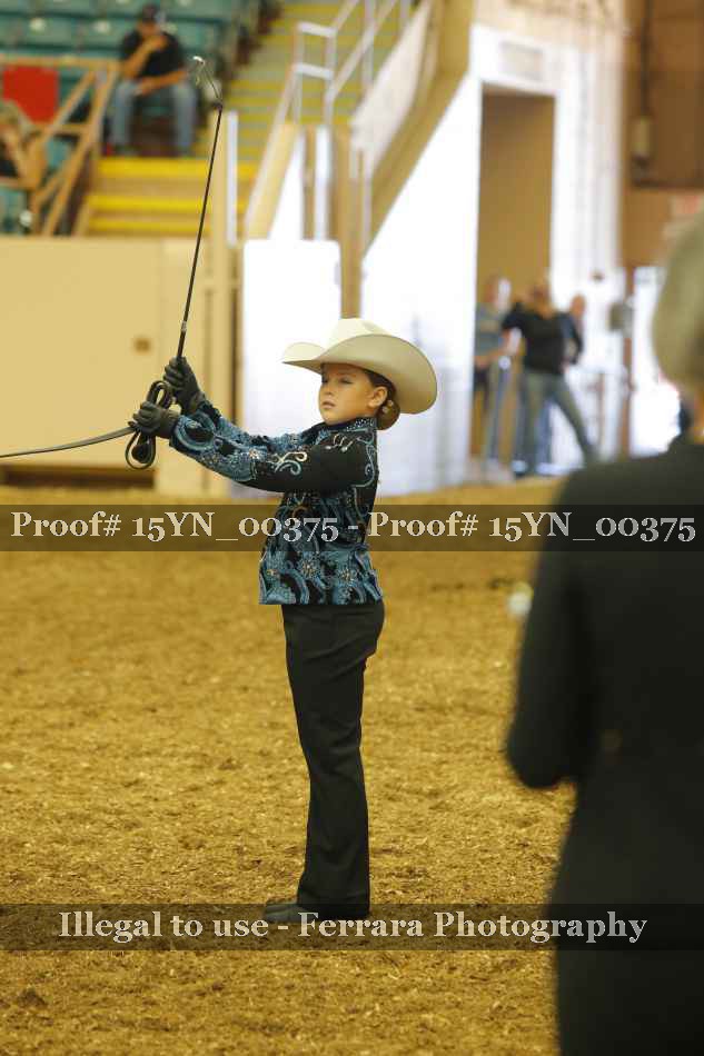 Proof 15YN_00375