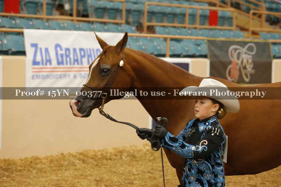 Proof 15YN_00377