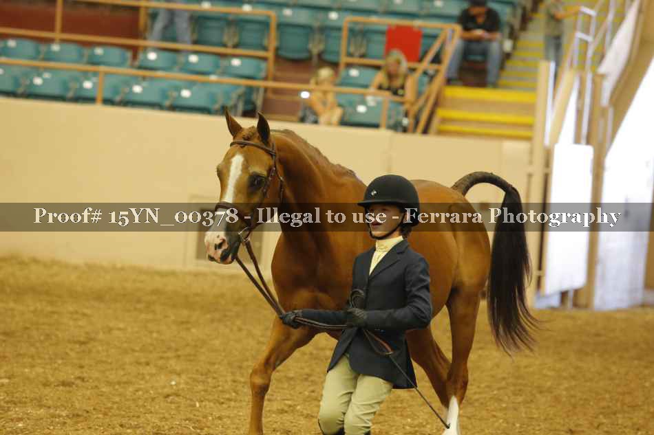 Proof 15YN_00378