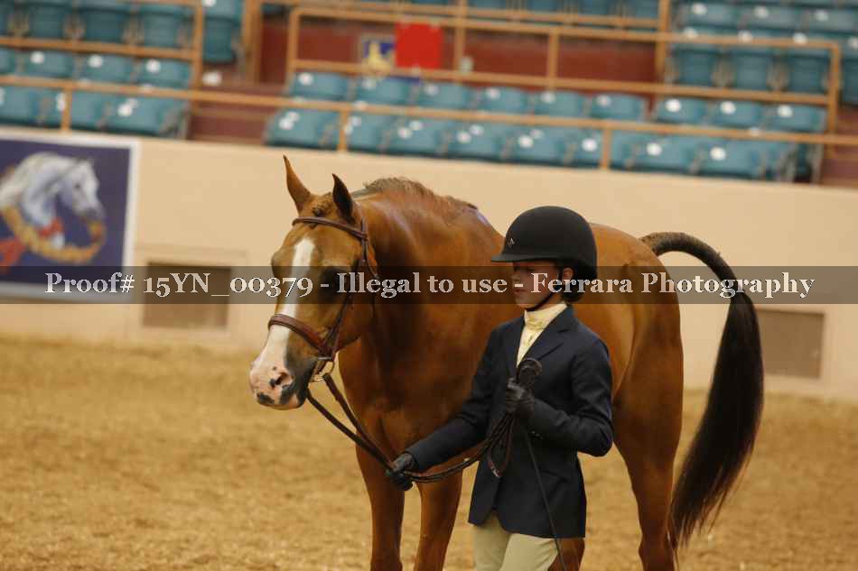 Proof 15YN_00379