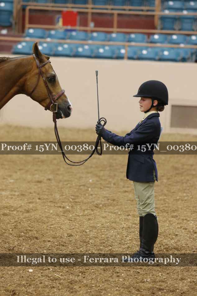 Proof 15YN_00380