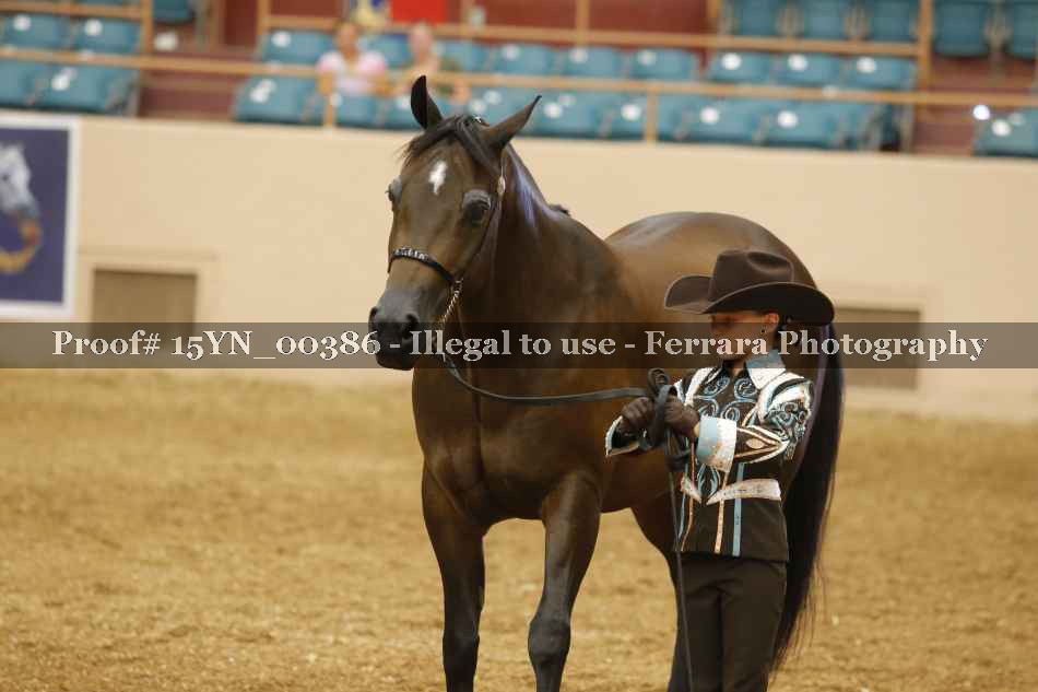 Proof 15YN_00386