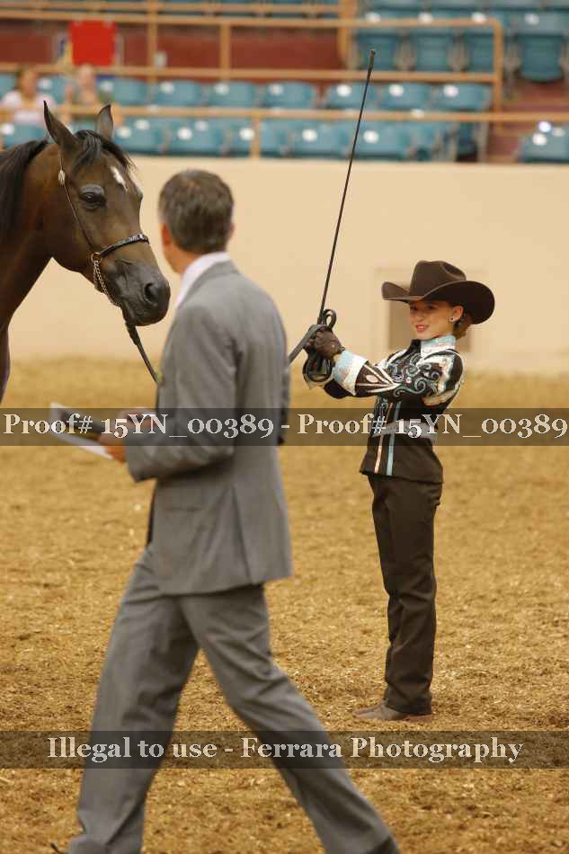 Proof 15YN_00389