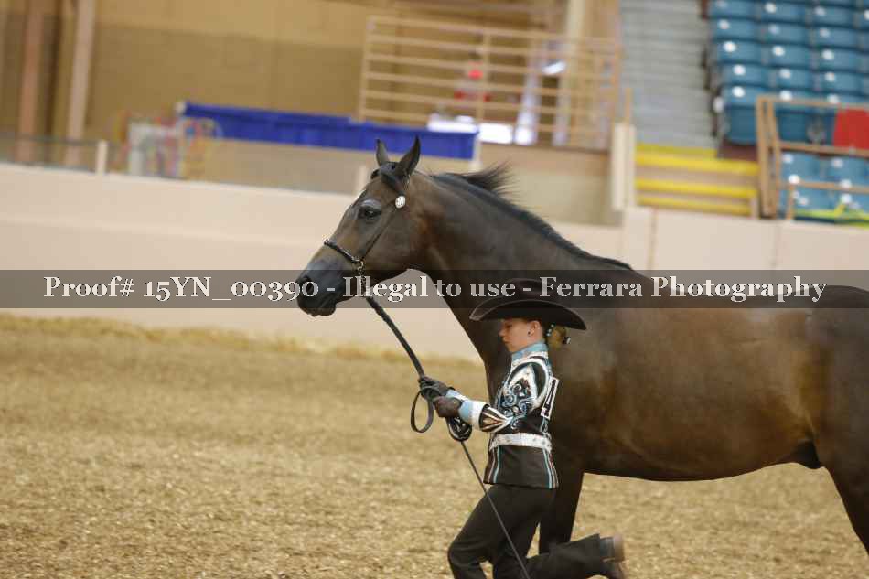 Proof 15YN_00390