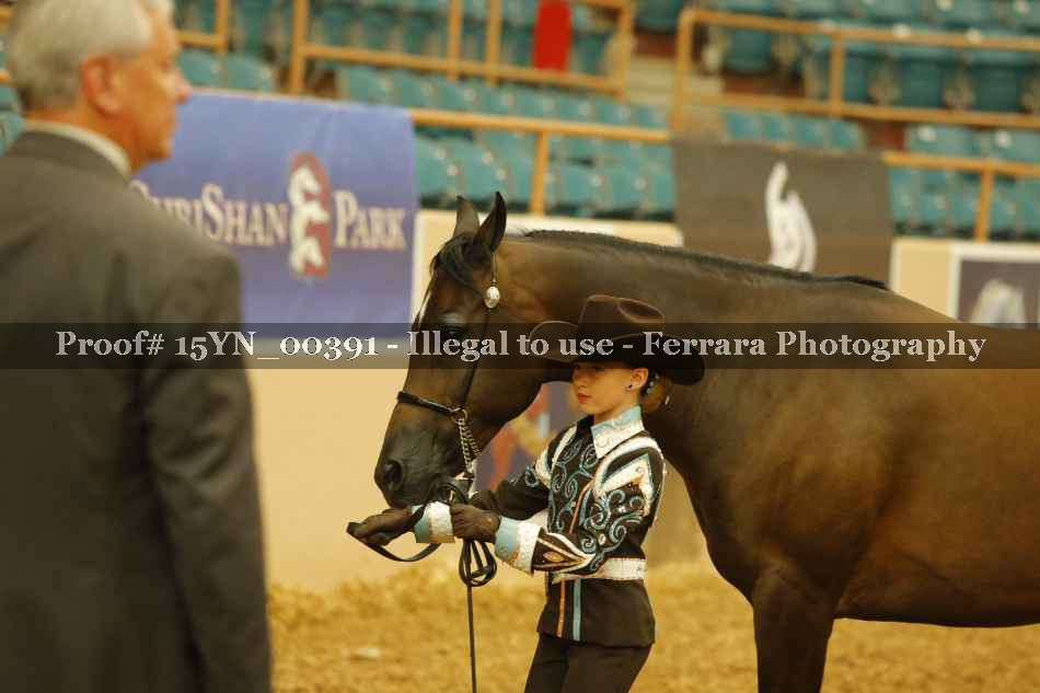 Proof 15YN_00391