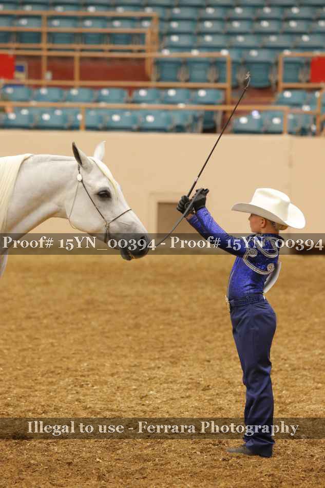 Proof 15YN_00394