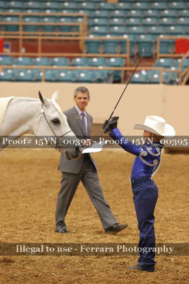 Proof 15YN_00395