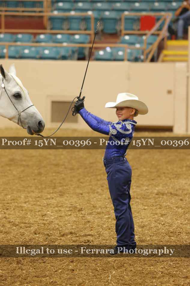 Proof 15YN_00396
