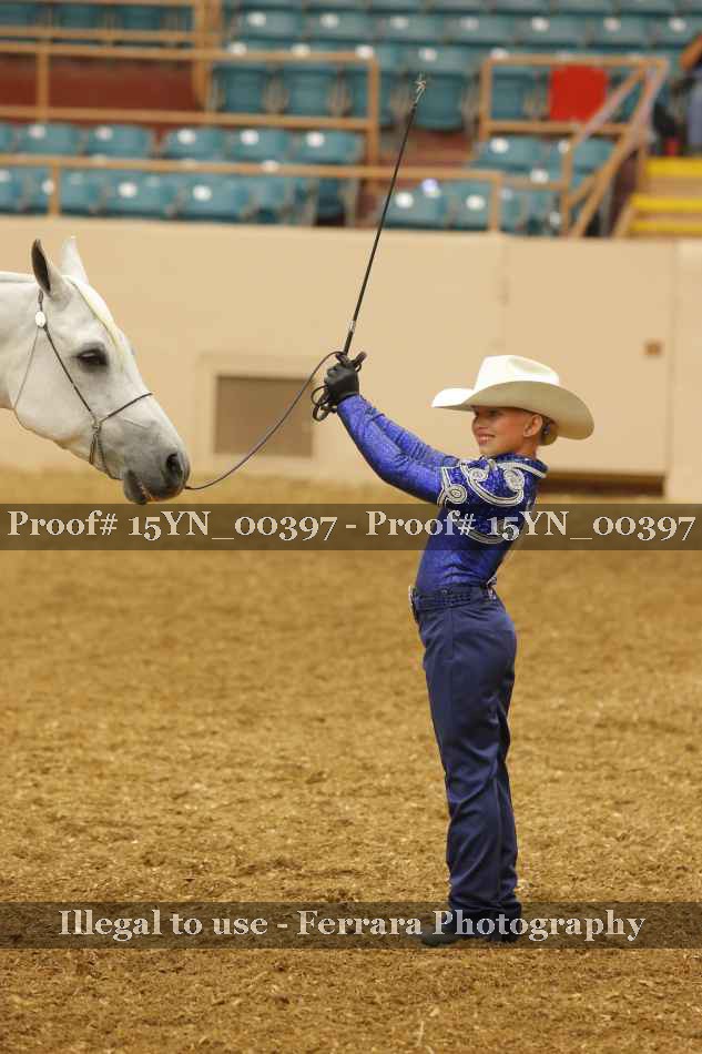 Proof 15YN_00397