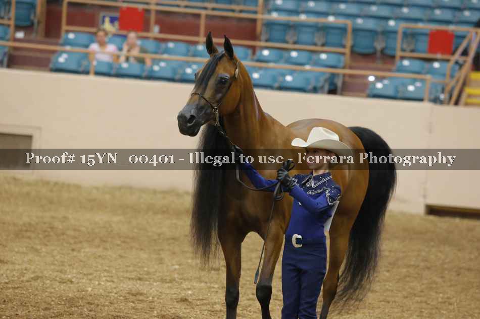 Proof 15YN_00401
