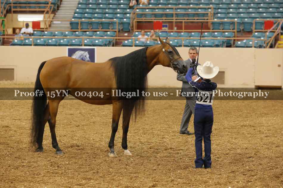 Proof 15YN_00404