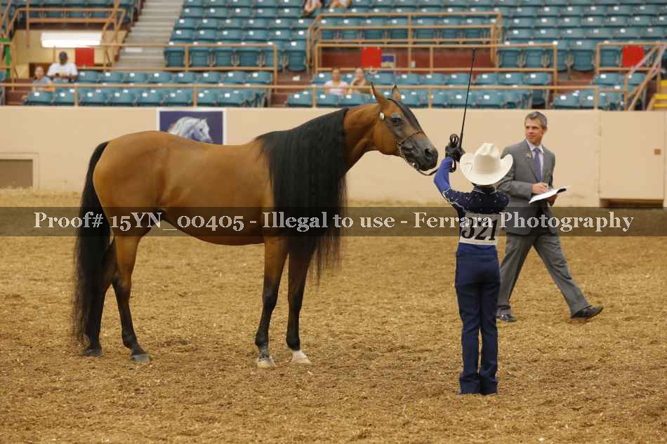 Proof 15YN_00405