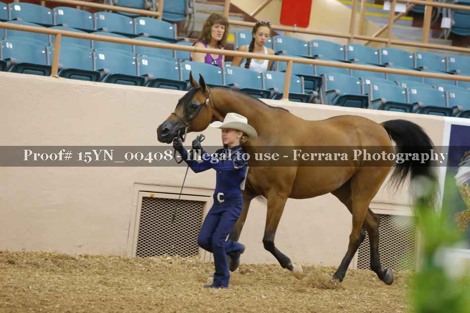 Proof 15YN_00408