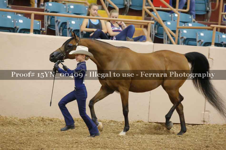 Proof 15YN_00409