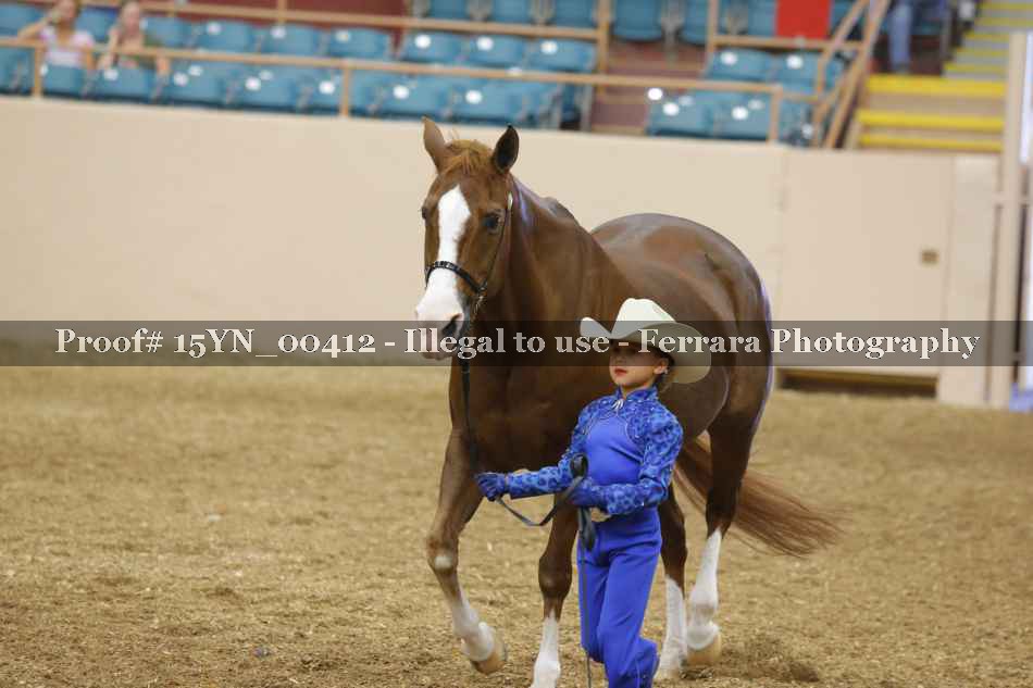 Proof 15YN_00412