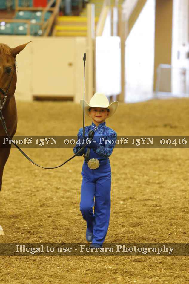Proof 15YN_00416