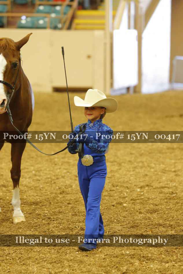 Proof 15YN_00417