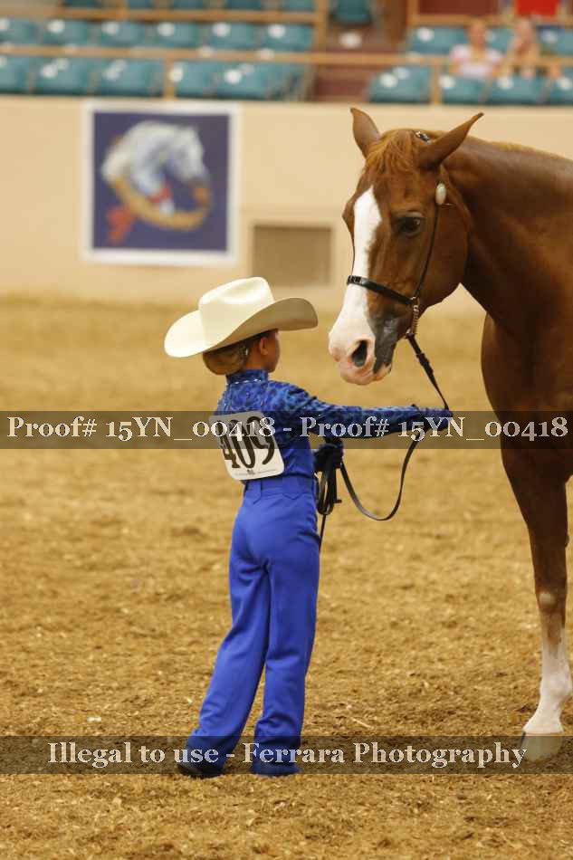 Proof 15YN_00418