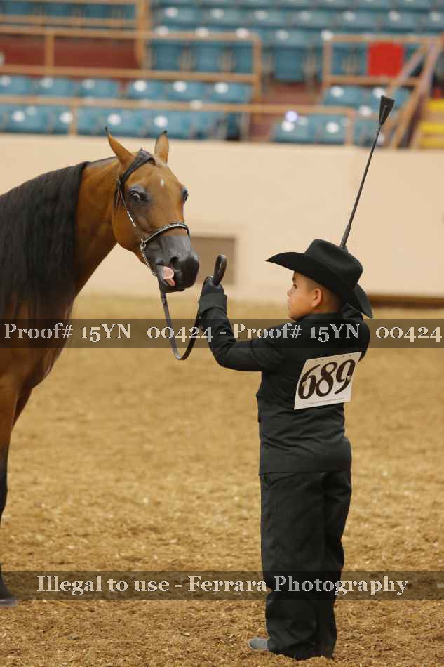 Proof 15YN_00424
