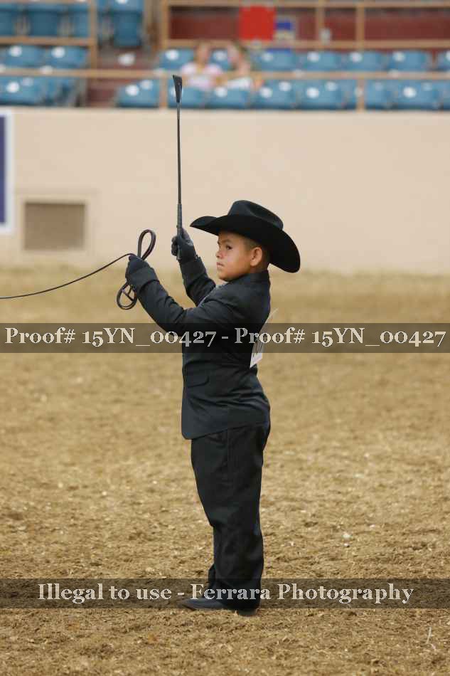 Proof 15YN_00427