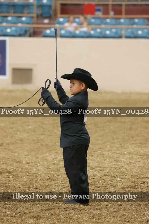 Proof 15YN_00428