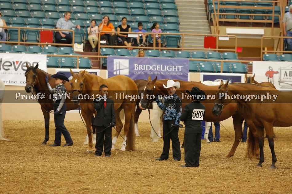 Proof 15YN_00434
