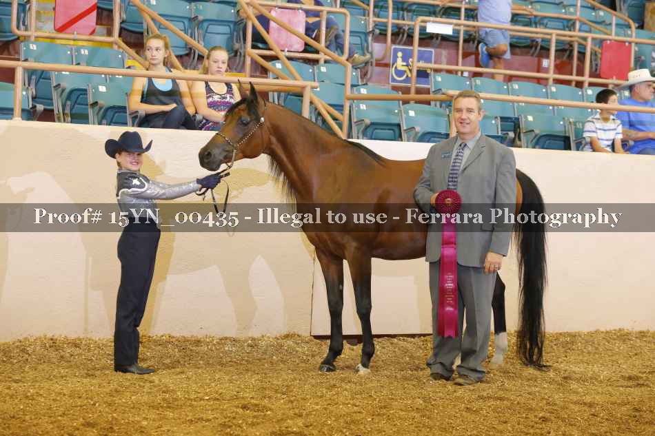 Proof 15YN_00435