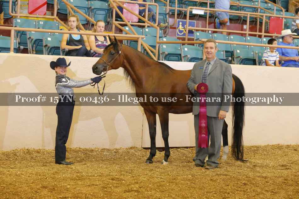 Proof 15YN_00436