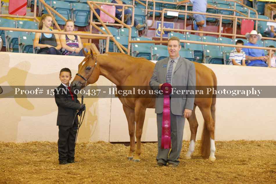 Proof 15YN_00437