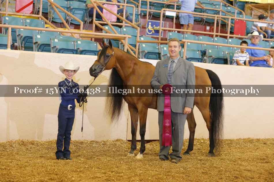 Proof 15YN_00438