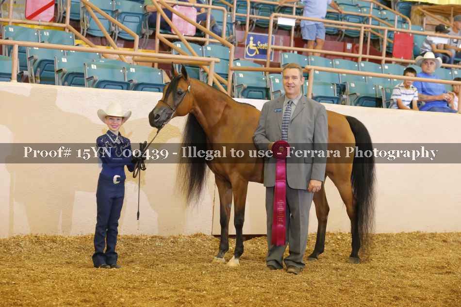 Proof 15YN_00439