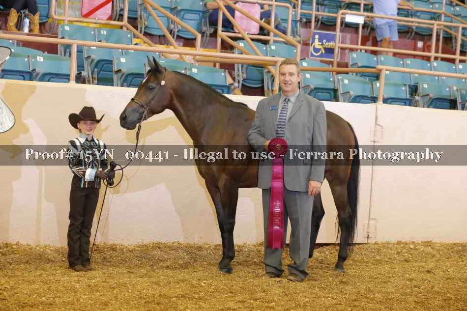 Proof 15YN_00441