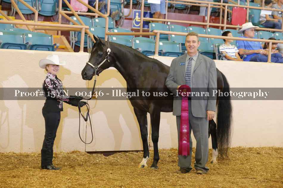 Proof 15YN_00446