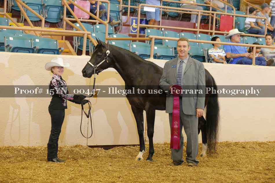 Proof 15YN_00447
