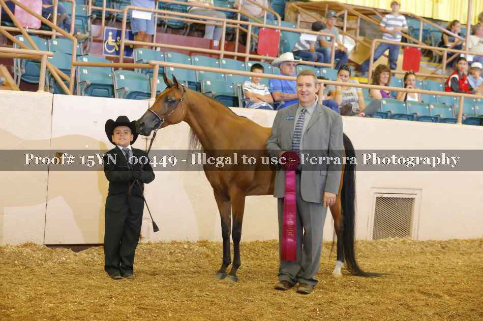 Proof 15YN_00449