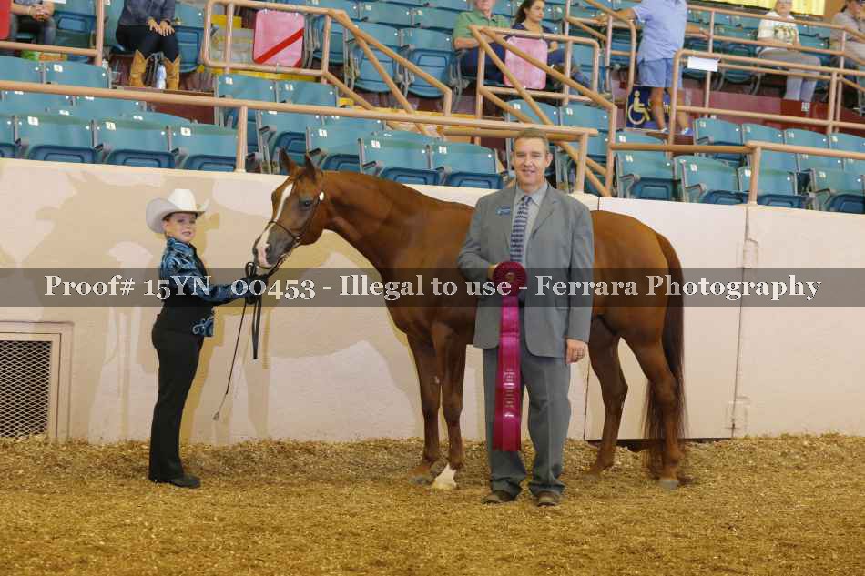 Proof 15YN_00453