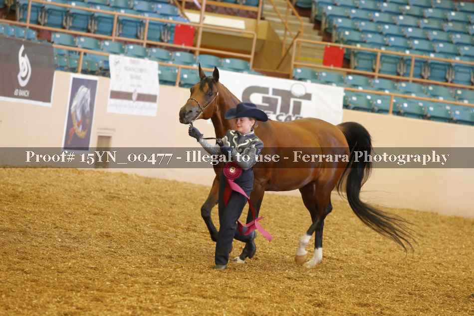 Proof 15YN_00477