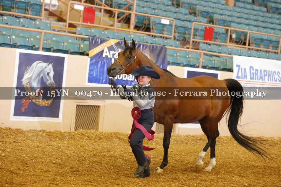 Proof 15YN_00479