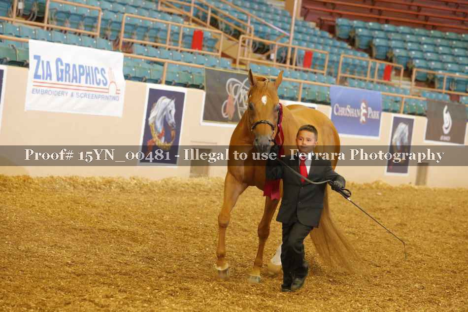 Proof 15YN_00481