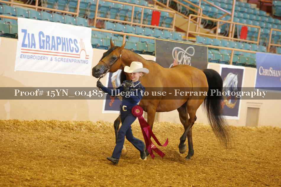 Proof 15YN_00485