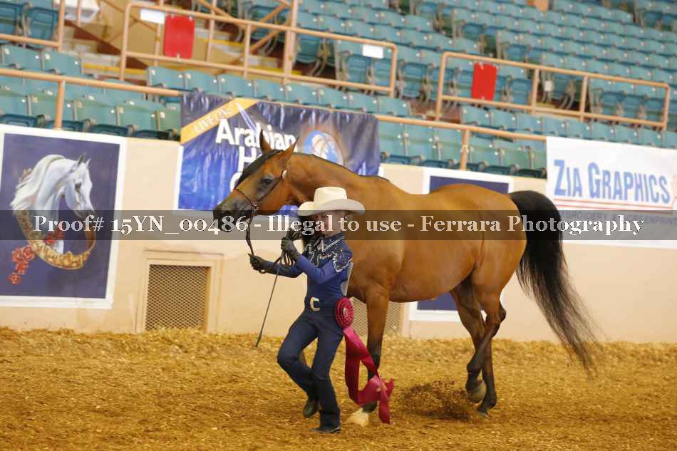 Proof 15YN_00486