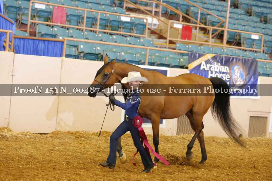 Proof 15YN_00487