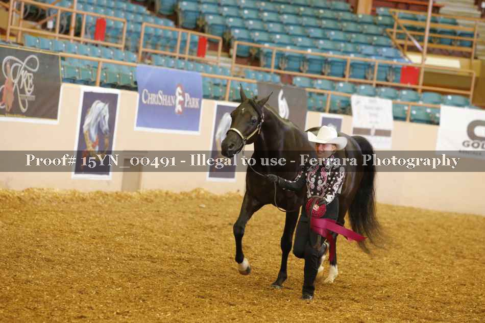 Proof 15YN_00491