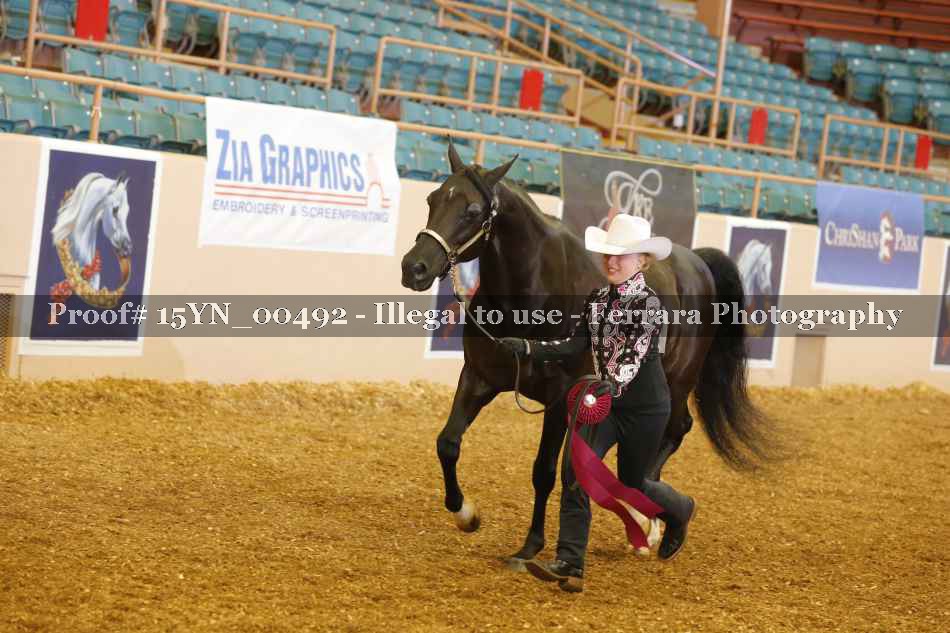 Proof 15YN_00492