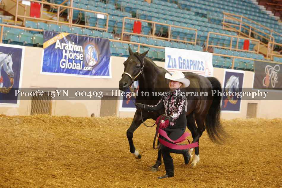 Proof 15YN_00493