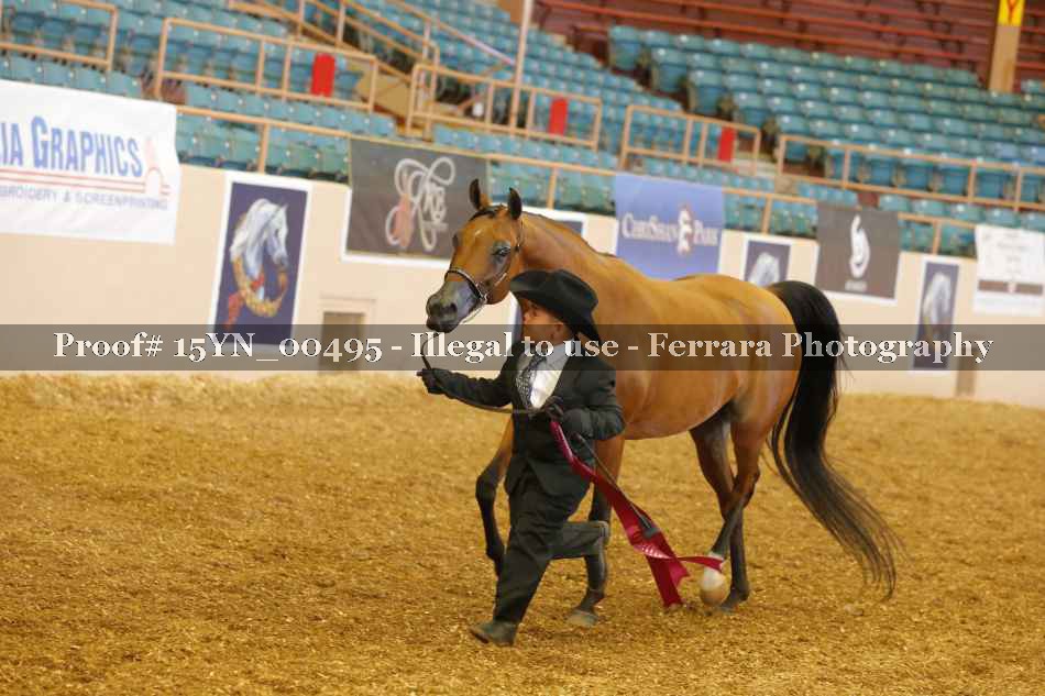 Proof 15YN_00495